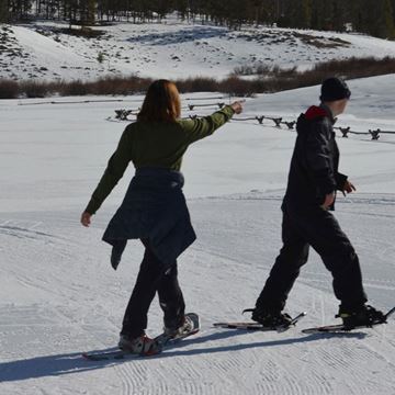 Picture of Alpine Family Snowshoe