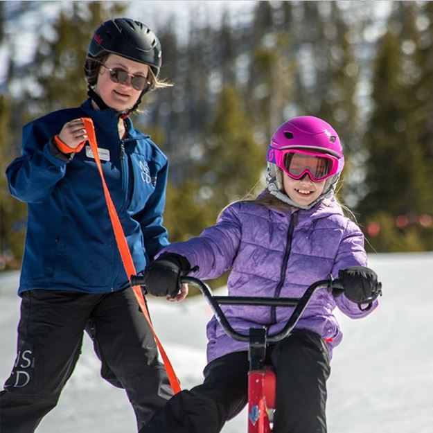 Picture of Alpine Individual Ski Bike